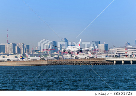 【浮島町公園からA滑走路に着陸するJAL機と東京タワー】 83801728