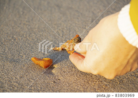 Amber on fine sand. The hand takes a piece of stone resin. A hand picks up a beautiful piece of amber from the sand. Amber on fine sand. The hand takes a piece of stone resin. A hand picks up a beautiful piece of amber from the sand. 83803969