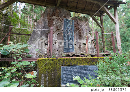 屋久島 小杉谷 屋久島 小杉谷 83805575