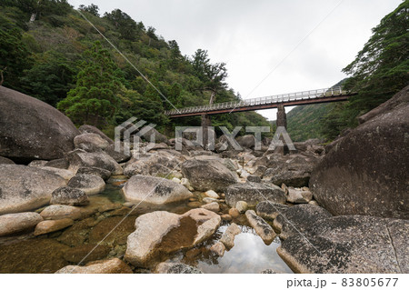 屋久島 小杉谷橋 屋久島 小杉谷橋 83805677