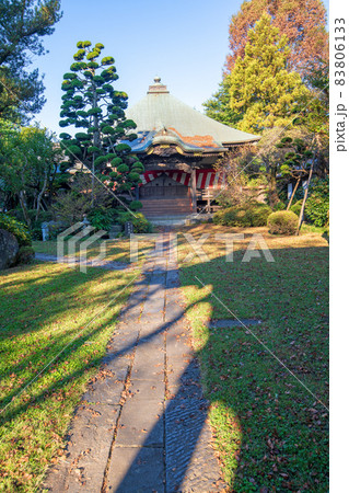 妻沼聖天山 歓喜院本坊 本堂 秋の季節 妻沼聖天山 歓喜院本坊 本堂 秋の季節 83806133