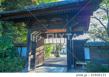 妻沼聖天山 歓喜院本坊 秋の季節 妻沼聖天山 歓喜院本坊 秋の季節 83806135