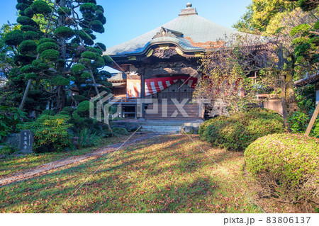妻沼聖天山 歓喜院本坊 本堂 秋の季節 妻沼聖天山 歓喜院本坊 本堂 秋の季節 83806137