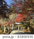山梨県北杜市小淵沢町にある身曾岐神社の紅葉の風景 83806936