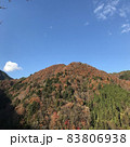 長野県阿南町和合の秋の山と紅葉の風景 83806938