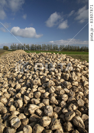 ビート ビート 83807871