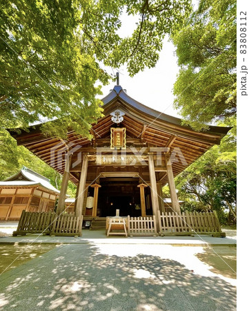 福岡パワースポット/龍の都・志賀海神社(福岡市) 福岡パワースポット/龍の都・志賀海神社(福岡市) 83808112