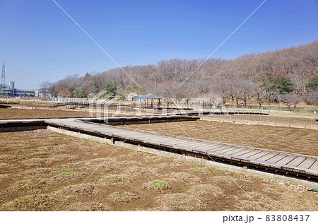 北山公園　菖蒲苑 83808437