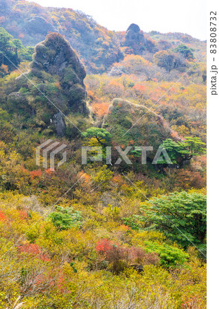 雲仙岳の紅葉 登山道からの眺め 【長崎県雲仙市】 雲仙岳の紅葉 登山道からの眺め 【長崎県雲仙市】 83808732