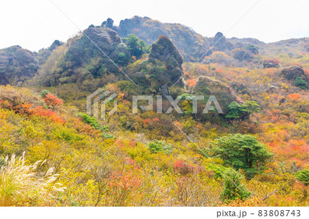 雲仙岳の紅葉 登山道からの眺め 【長崎県雲仙市】 雲仙岳の紅葉 登山道からの眺め 【長崎県雲仙市】 83808743