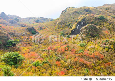 雲仙岳の紅葉 登山道からの眺め 【長崎県雲仙市】 雲仙岳の紅葉 登山道からの眺め 【長崎県雲仙市】 83808745