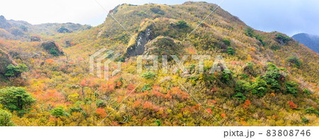 雲仙岳の紅葉　登山道からの眺め　パノラマ　【長崎県雲仙市】 83808746