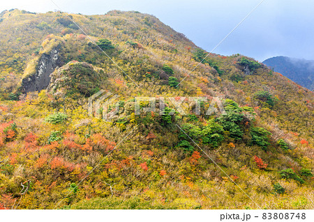 雲仙岳の紅葉 登山道からの眺め 【長崎県雲仙市】 雲仙岳の紅葉 登山道からの眺め 【長崎県雲仙市】 83808748