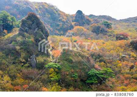 雲仙岳の紅葉　登山道からの眺め　【長崎県雲仙市】 83808760