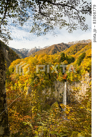 直瀑の滝と紅葉と雪の白山 83808779