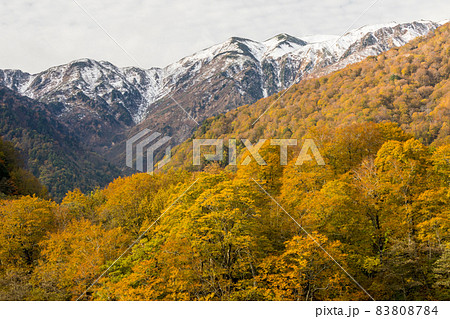 雪の白山と紅葉の山々 雪の白山と紅葉の山々 83808784