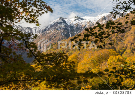 紅葉に映える雪の白山 紅葉に映える雪の白山 83808788