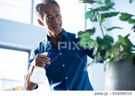 観葉植物に水をやるミドルの男性　ガーデニング 83808919