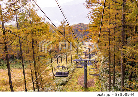 長野県阿智村 カラ松の紅葉に包まれたヘブンスそのはらの展望台とのリフト 長野県阿智村 カラ松の紅葉に包まれたヘブンスそのはらの展望台とのリフト 83808944