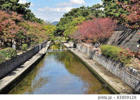 夙川 夙川 83809126