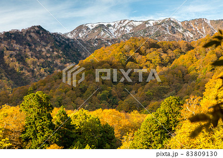 紅葉の山の峰と白山連峰 83809130