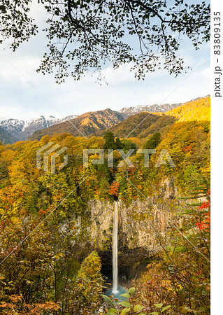 滝と紅葉の森の景色 83809135