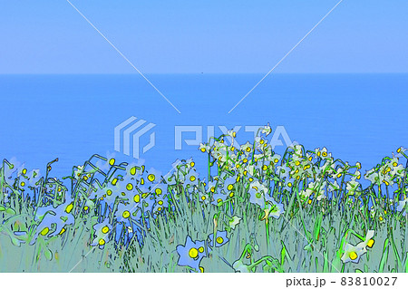 越前水仙　梨子ヶ平　越前水仙　冬景色 83810027