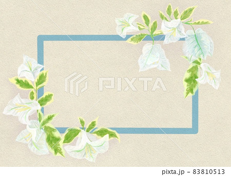 白いお花のメッセージカードのイラスト素材