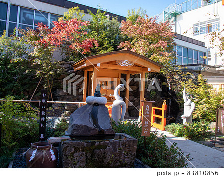 天祖神社境内風景 天祖神社境内風景 83810856