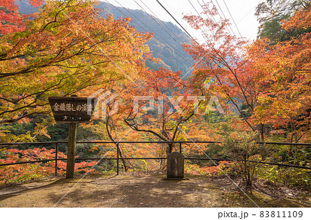 晩秋の金蔵落しの渓流 83811109