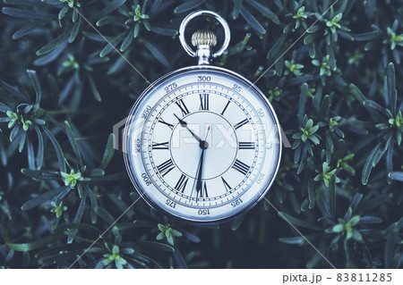 懐中時計と緑背景 懐中時計と緑背景 83811285