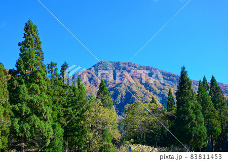 小池公園　山並みと紅葉　大野市 83811453