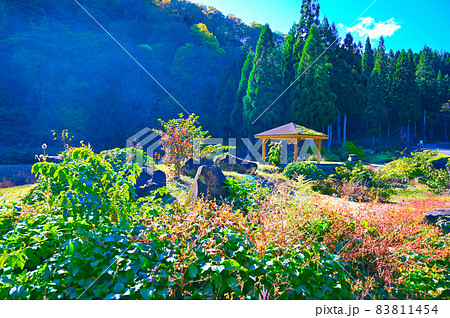 小池公園　白山国立公園　大野市 83811454