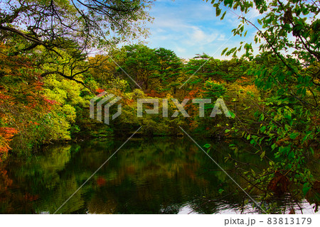 美しく紅葉した秋の裏磐梯・五色沼周辺 83813179