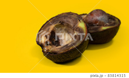Rotten Avocado on Yellow background. Close up details Rotten tropical Fruits. Copy space on Yellow background about Food. 83814315