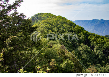 大持山 83814346