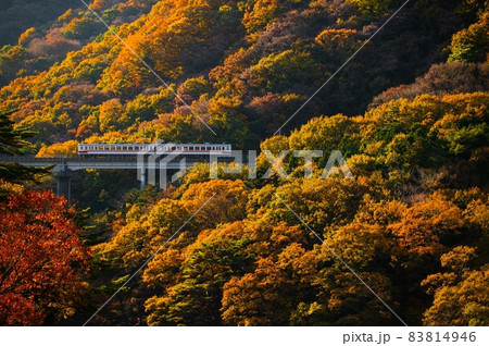 秋の野岩鉄道を走る東武鉄道6050系　1 83814946