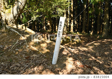 晩秋の玄蕃尾城の曲輪群　賤ヶ岳の戦で柴田勝家の本陣があった中尾山 83815004