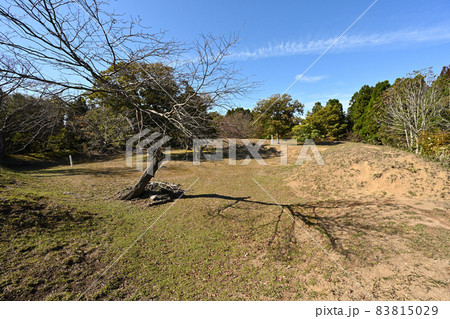 晩秋の玄蕃尾城の曲輪群 賤ヶ岳の戦で柴田勝家の本陣があった中尾山 晩秋の玄蕃尾城の曲輪群 賤ヶ岳の戦で柴田勝家の本陣があった中尾山 83815029