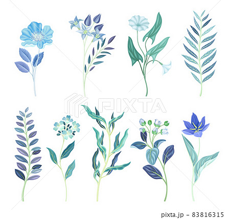 Blue plants and flowers set. Trendy color floral design elements vector illustration Blue plants and flowers set. Trendy color floral design elements vector illustration 83816315