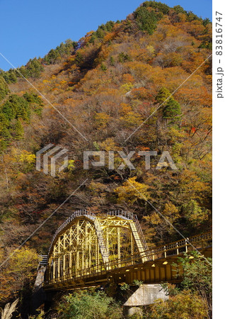 赤芝峡の紅葉と荒川第四橋梁 赤芝峡の紅葉と荒川第四橋梁 83816747