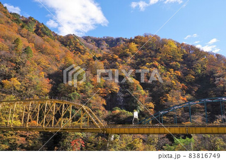 赤芝峡の紅葉と荒川第四橋梁 赤芝峡の紅葉と荒川第四橋梁 83816749
