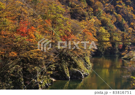 赤芝峡の紅葉と荒川第四橋梁 赤芝峡の紅葉と荒川第四橋梁 83816751