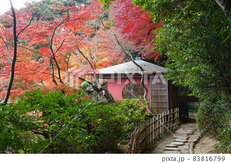 紅葉の中の東屋 紅葉の中の東屋 83816799