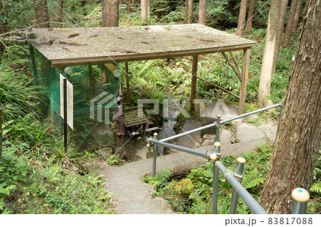 へだまの水 83817088