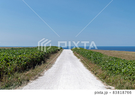宗谷丘陵の白い道 宗谷丘陵の白い道 83818766