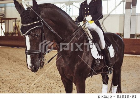 woman jockey with his horse 83818791