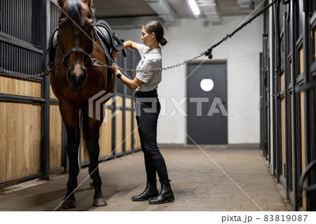 Female horseman puts ammunition on her horse in stable Female horseman puts ammunition on her horse in stable 83819087
