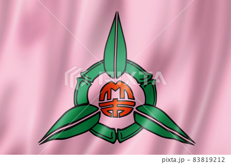 Hsinchu city flag, China Hsinchu city flag, China 83819212