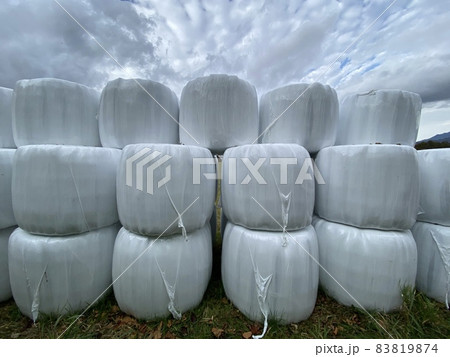 秋の高原地帯にある牧草 83819874